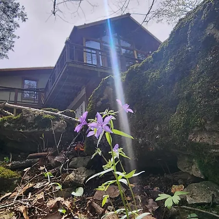 Whispering Hollow Fr Botel Burgo