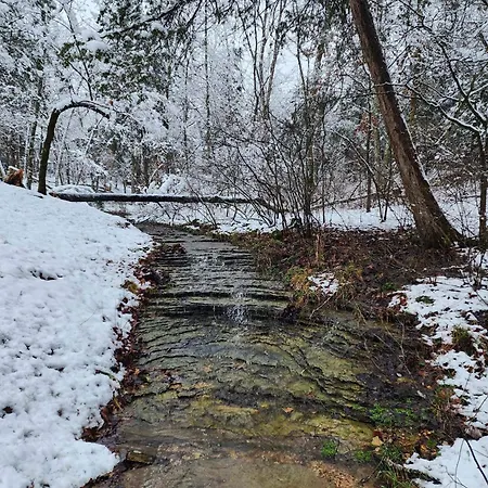 Whispering Hollow Fr Burgo