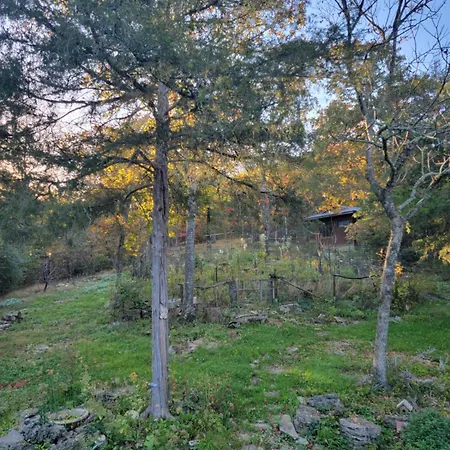 Whispering Hollow Fr